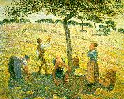 Camille Pissaro Apple Picking at Eragny sur Epte oil painting on canvas